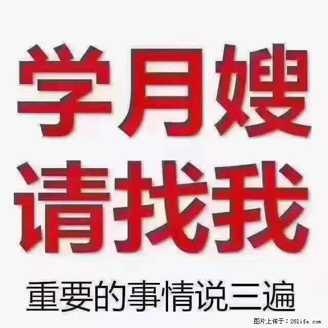 为什么要学习月嫂，育婴师？ - 其他广告 - 广告专区 - 张北分类信息 - 张北28生活网 zhangbei.28life.net