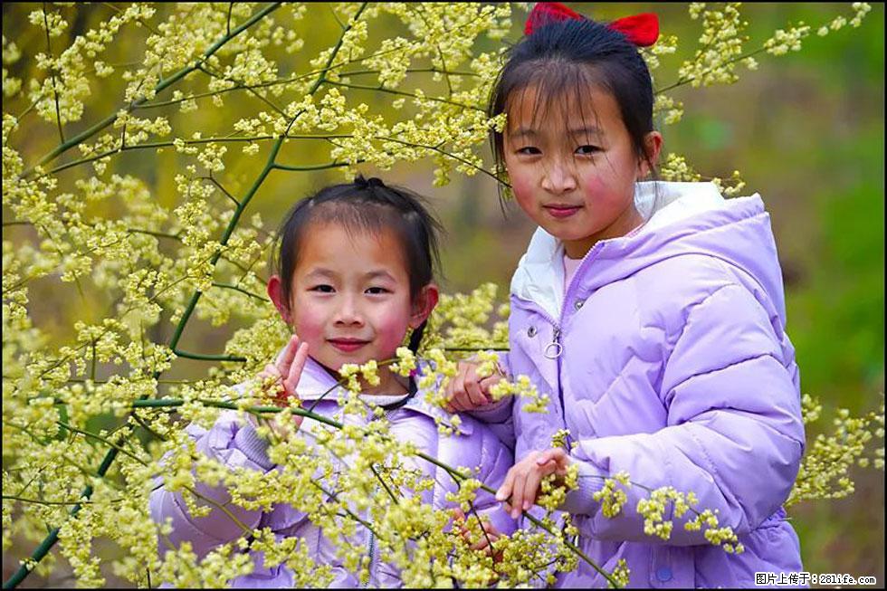 【春天，广西桂林灌阳县向您发出邀请！】米珠山前有片山苍子花在飘香 - 游山玩水 - 张北生活社区 - 张北28生活网 zhangbei.28life.net