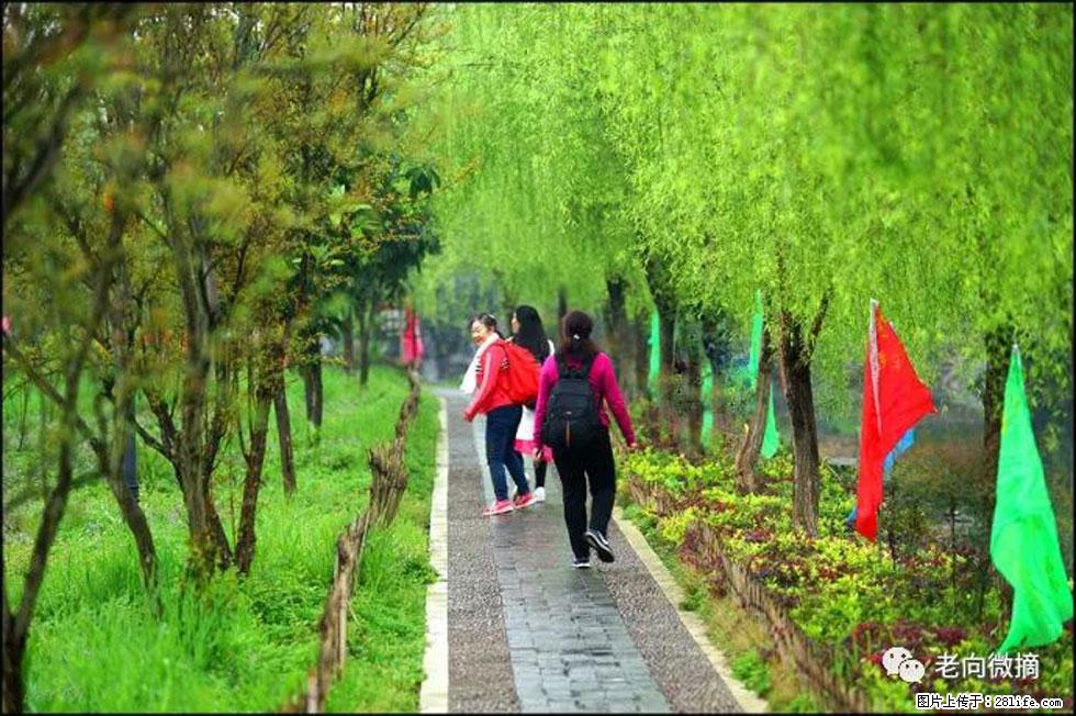 【春天，广西桂林灌阳县向您发出邀请！】江口老街又逢春 - 游山玩水 - 张北生活社区 - 张北28生活网 zhangbei.28life.net