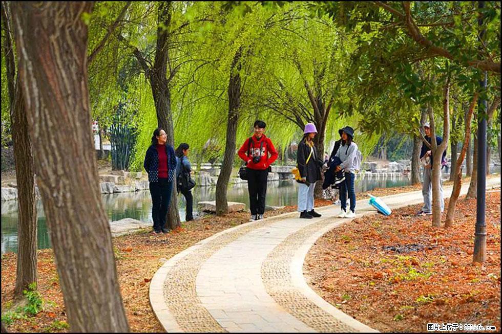 【春天，广西桂林灌阳县向您发出邀请！】江口老街又逢春 - 游山玩水 - 张北生活社区 - 张北28生活网 zhangbei.28life.net