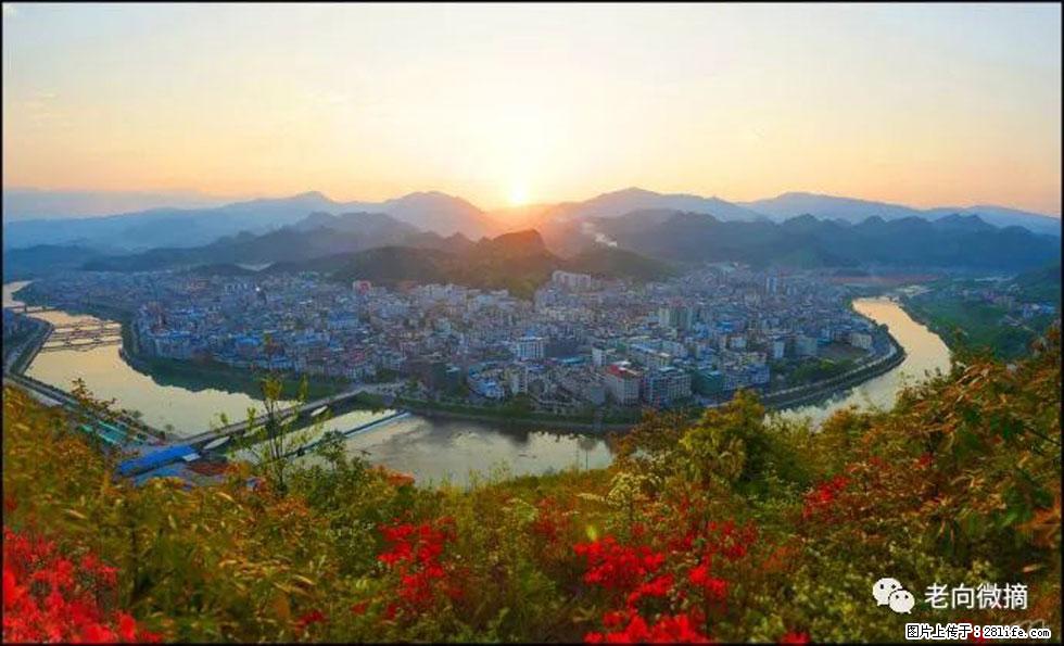 【春天,广西桂林灌阳县向您发出邀请!】登麒麟山,相约映山红 - 游山玩水 - 张北生活社区 - 张北28生活网 zhangbei.28life.net