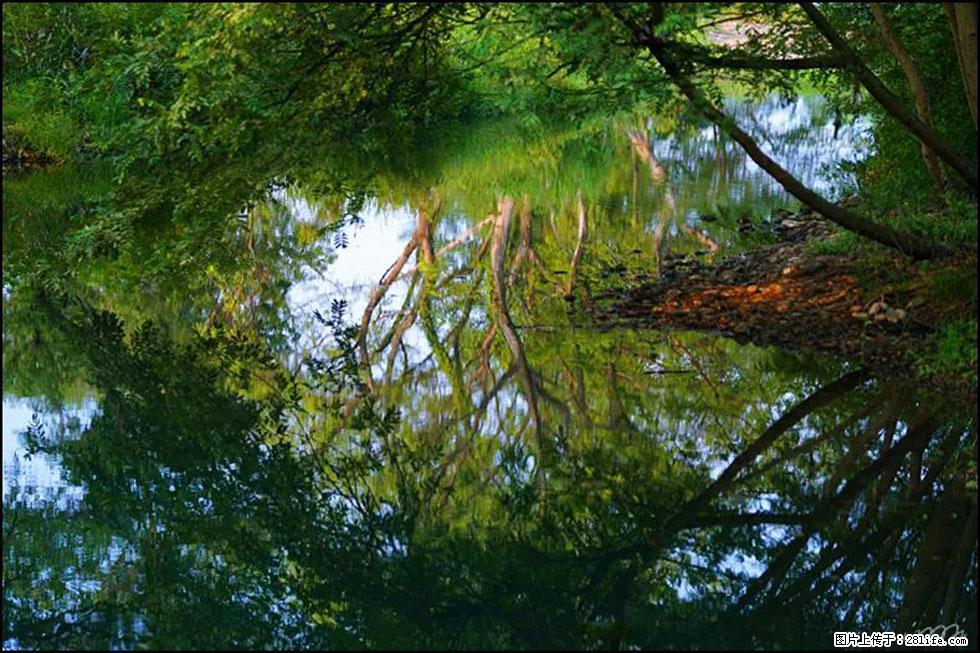 【春天，广西桂林灌阳县向您发出邀请！】熊家寨湿地公园 - 游山玩水 - 张北生活社区 - 张北28生活网 zhangbei.28life.net