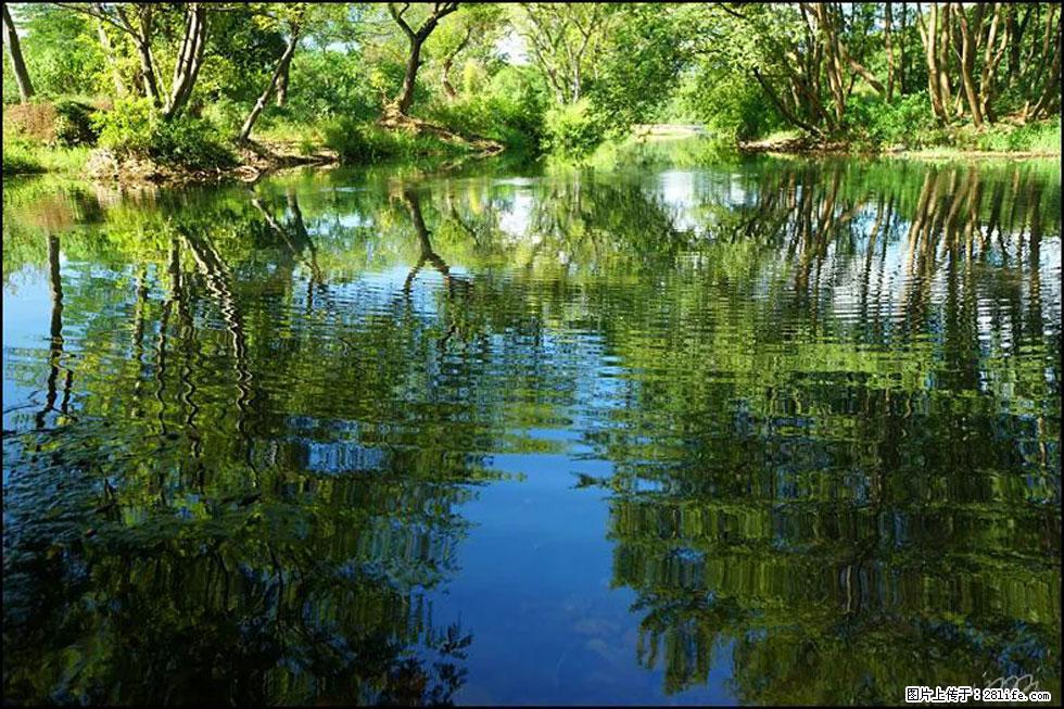 【春天，广西桂林灌阳县向您发出邀请！】熊家寨湿地公园 - 游山玩水 - 张北生活社区 - 张北28生活网 zhangbei.28life.net