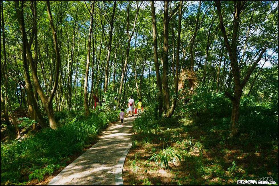 【春天，广西桂林灌阳县向您发出邀请！】熊家寨湿地公园 - 游山玩水 - 张北生活社区 - 张北28生活网 zhangbei.28life.net