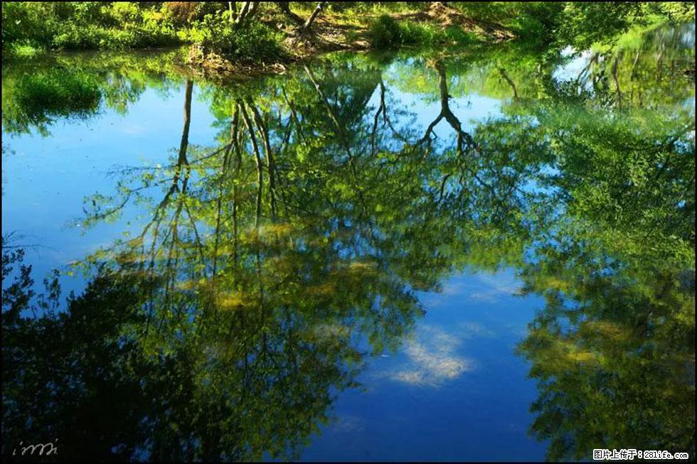 【春天，广西桂林灌阳县向您发出邀请！】熊家寨湿地公园 - 游山玩水 - 张北生活社区 - 张北28生活网 zhangbei.28life.net
