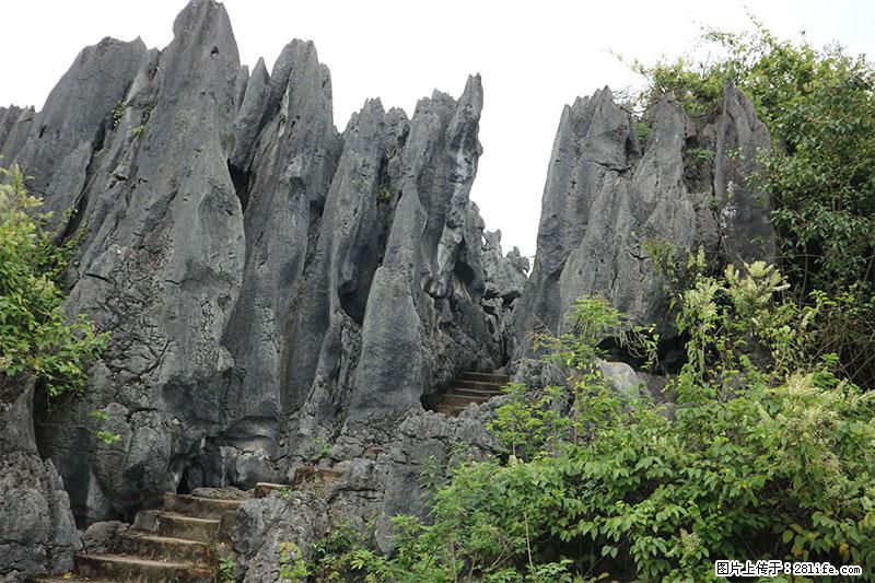 桂林旅游名城景点：灌阳文市石林 - 游山玩水 - 张北生活社区 - 张北28生活网 zhangbei.28life.net