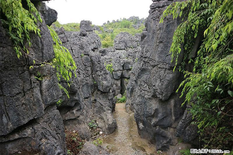 桂林旅游名城景点：灌阳文市石林 - 游山玩水 - 张北生活社区 - 张北28生活网 zhangbei.28life.net