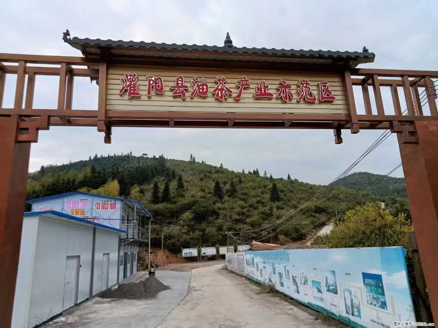 【灌阳县油茶产业示范区】一个有着充实的精神生活的人，对待身外之物自会有一种淡泊的态度 - 美食天地 - 张北生活社区 - 张北28生活网 zhangbei.28life.net