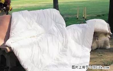 被子有异味？只要这样做，比晒太阳还强100倍！ - 家居生活 - 张北生活社区 - 张北28生活网 zhangbei.28life.net