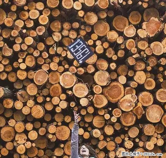 辞掉工作周游世界？现在他们在洗厕所…… - 游山玩水 - 张北生活社区 - 张北28生活网 zhangbei.28life.net
