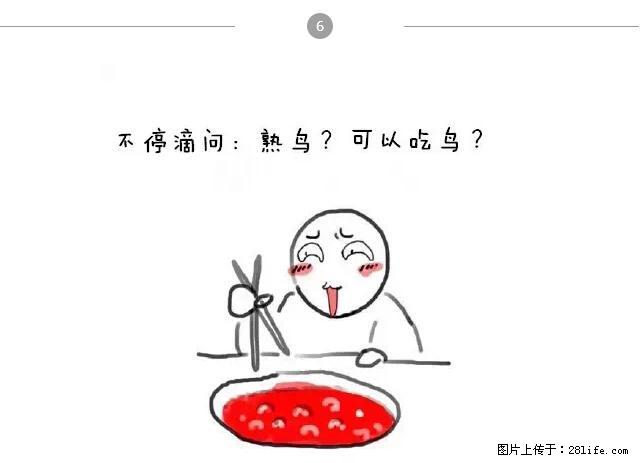 千万不要和这9种哈卵一起吃火锅！ - 美食天地 - 张北生活社区 - 张北28生活网 zhangbei.28life.net