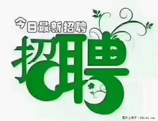 【招聘摄像师】待遇：试用期6000元/月，转正7000元/月+五险一金+餐补+节日福利+奖金 - 职场交流 - 张北生活社区 - 张北28生活网 zhangbei.28life.net