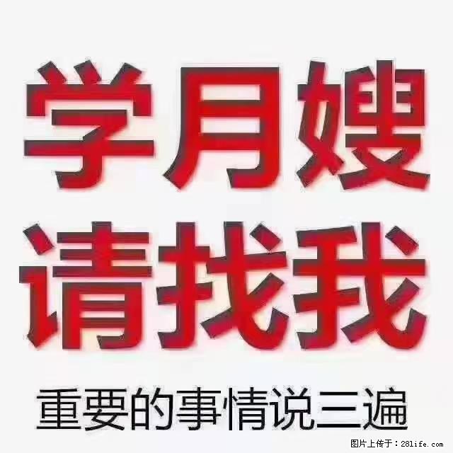 【招聘】月嫂，上海徐汇区 - 职场交流 - 张北生活社区 - 张北28生活网 zhangbei.28life.net