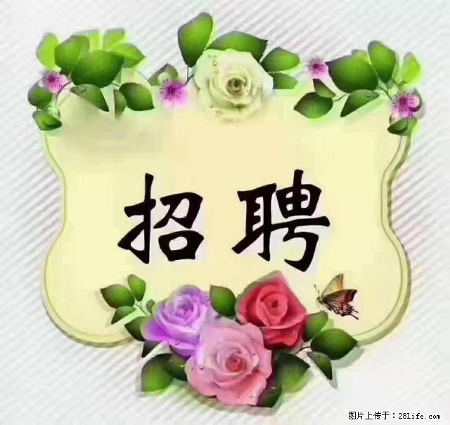 【招聘】住家育儿嫂，上户日期：4月4日，工作地址：上海 黄浦区 - 职场交流 - 张北生活社区 - 张北28生活网 zhangbei.28life.net