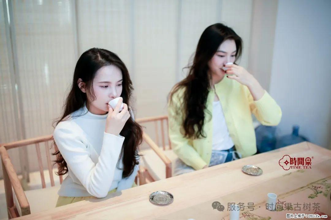 时间果百年古树龙珠普洱生茶 - 购物交流 - 张北生活社区 - 张北28生活网 zhangbei.28life.net
