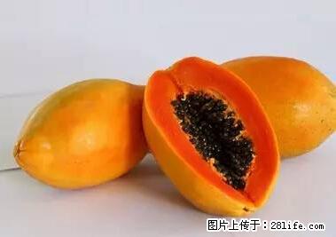 晕车、脚气、牙齿变黄、皮肤粗糙？学会这些三分钟搞定！ - 张北生活资讯 - 张北28生活网 zhangbei.28life.net