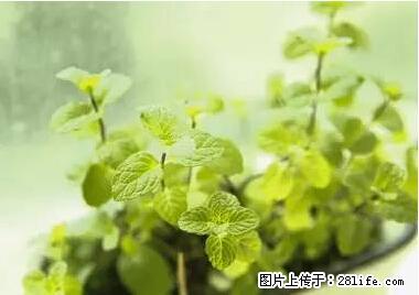 晕车、脚气、牙齿变黄、皮肤粗糙？学会这些三分钟搞定！ - 张北生活资讯 - 张北28生活网 zhangbei.28life.net