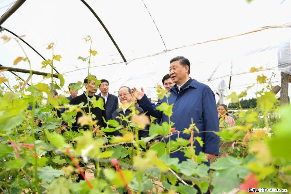 习近平赴广西考察调研 - 张北生活资讯 - 张北28生活网 zhangbei.28life.net