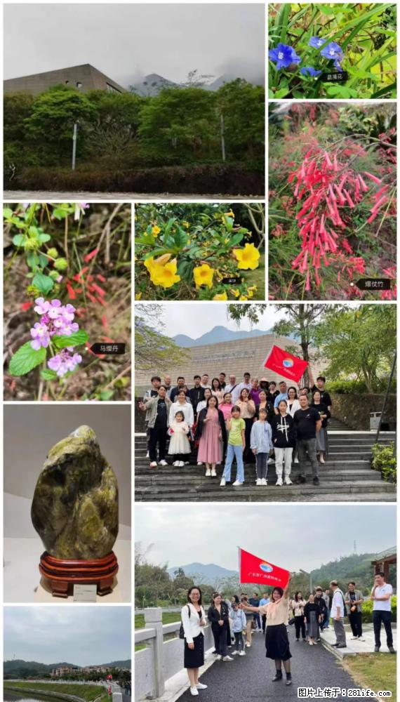 “粤灌文化 美好生活”油茶文化主题活动在广东深圳成功举办 - 张北生活资讯 - 张北28生活网 zhangbei.28life.net
