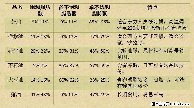 揭秘茶油的5大核心营养成分！被称为人体健康的“守护盾”！ - 张北生活资讯 - 张北28生活网 zhangbei.28life.net