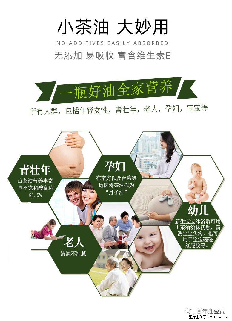 世界没有真相，只有认知，最好的食用油是中国的山茶油！ - 张北生活资讯 - 张北28生活网 zhangbei.28life.net