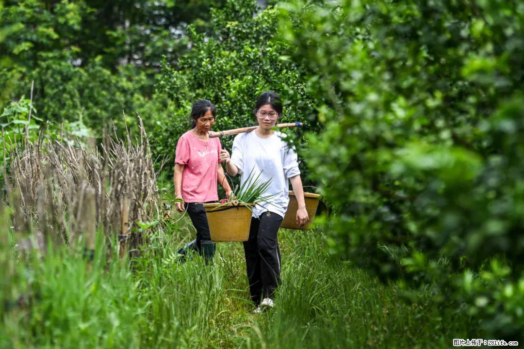 全网追的“扁担女孩”，找了一份暑假工，时薪12元 - 张北生活资讯 - 张北28生活网 zhangbei.28life.net