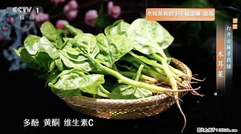 比牛奶补钙还厉害！凉血解毒、稳血糖...这菜冬天必吃，很多人却当草 - 张北生活资讯 - 张北28生活网 zhangbei.28life.net