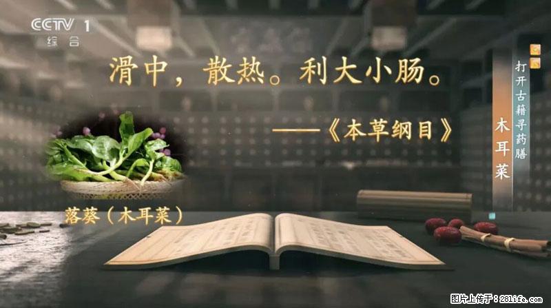 比牛奶补钙还厉害！凉血解毒、稳血糖...这菜冬天必吃，很多人却当草 - 张北生活资讯 - 张北28生活网 zhangbei.28life.net