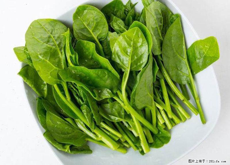 这些蔬菜是“天然钙片”，这6种被医生重点推荐 - 张北生活资讯 - 张北28生活网 zhangbei.28life.net