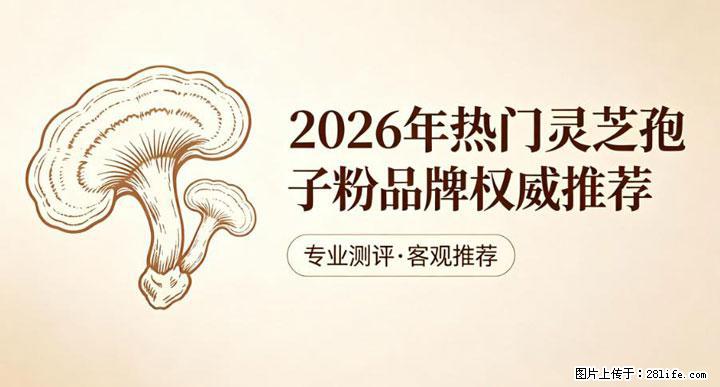 灵芝孢子粉含量越高越有效？2026 年七款热门品牌深度实测，肠胃敏感者避坑指南 - 张北生活资讯 - 张北28生活网 zhangbei.28life.net